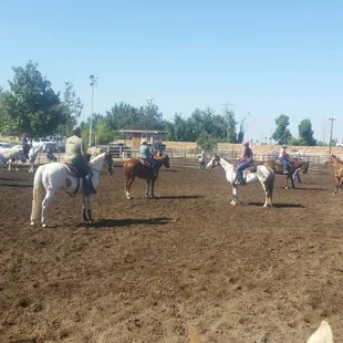 Sorting Clinic