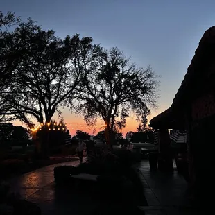 people walking in the evening