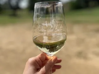 Dono dal Cielo An Estate Vineyard