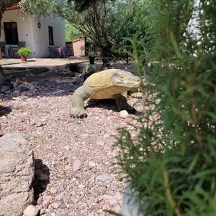 The life like art caught me off guard and brought a smile to all of us