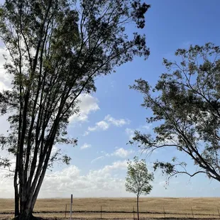 Good morning! Rancho Seco
