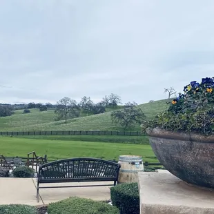 Beautiful view while you enjoy awesome wine