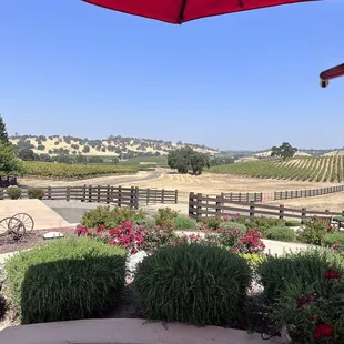 Can't beat these views