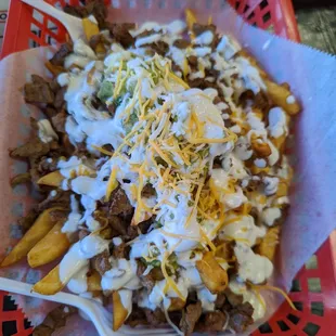 Carne asada fries