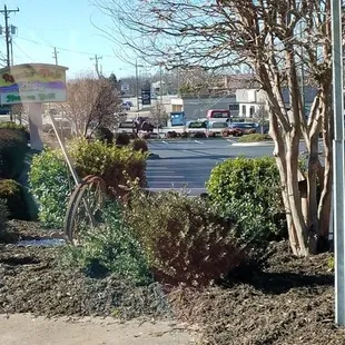Sign &amp; landscaping of a wonderful restaurant try the Salmon dish with asparagus delicious plus great service very clean to.