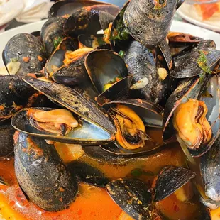 a plate of steamed mussels