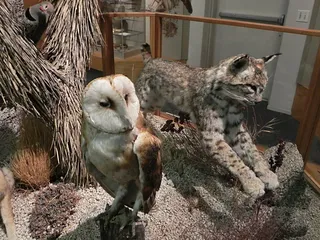 Maturango Museum Of Indian Wells Valley