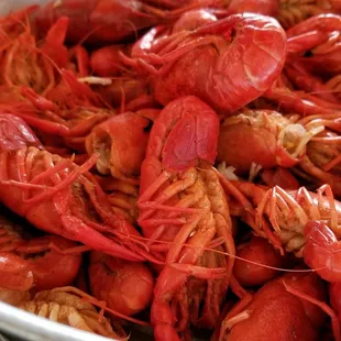 Boiled Crawfish