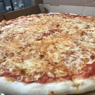 Large Cheese Pizza