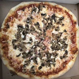 14&quot; mushroom pizza