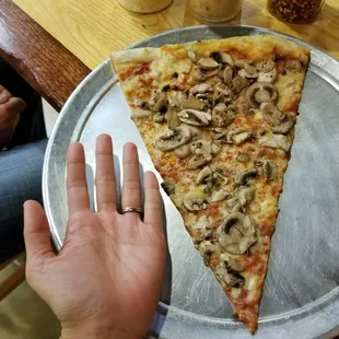 The slices are huge!