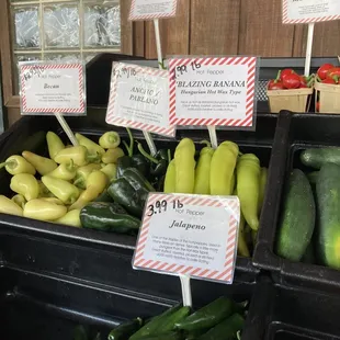 a variety of vegetables for sale
