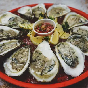 Oysters freshly shucked