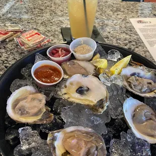 Gulf Coast oysters