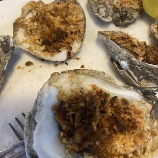 Oysters