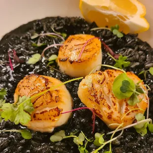 Seared scallops with squid ink risotto