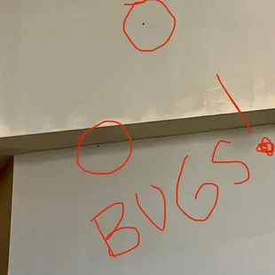 Bugs literally climbing the walls.