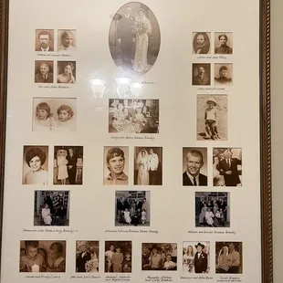 The Family Tree
