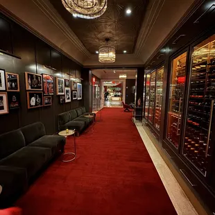 a wine cellar with a red carpet