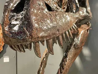 Tucson Gem and Mineral Show