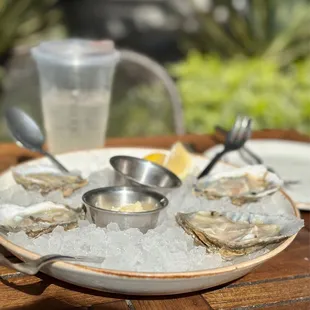 Rappahannock and Olde Salt Oysters 2022