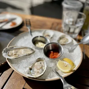 Rappahannock and Olde Salts Oysters 2022