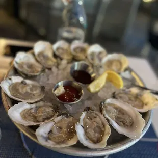 Oysters