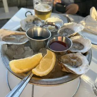 Oysters
