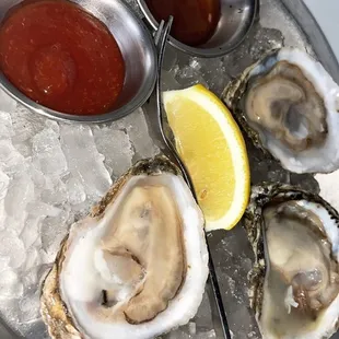 Oyster