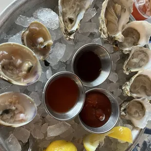Olde Salt Oysters