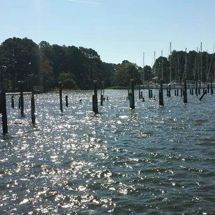 a row of wooden posts in the water