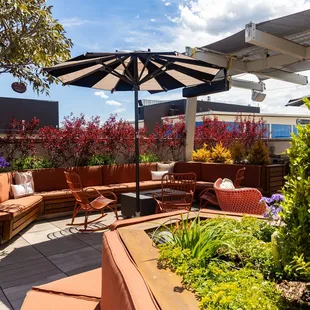 Rare Bird seating under umbrella.