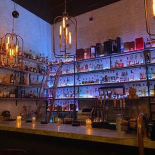 shelves full of liquor bottles