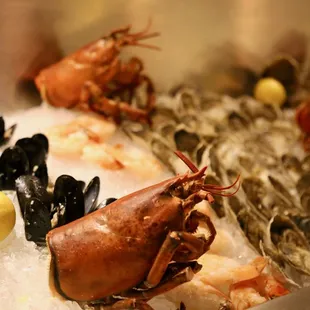 oysters and mussels, mussels, oysters, food, shellfish