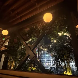 Pretty Plant wall feature!