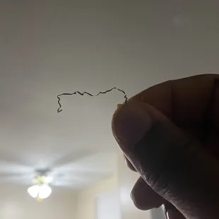 So I was eating my spaghetti dinner and got a nice little surprise that I could've choked on, nice ‍