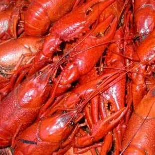 Boiled Crawfish