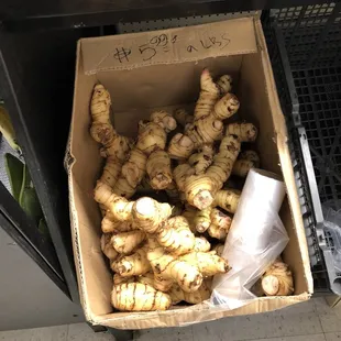 a box of gingers