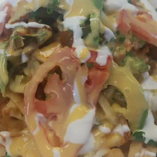 Shredded Chicken Fries