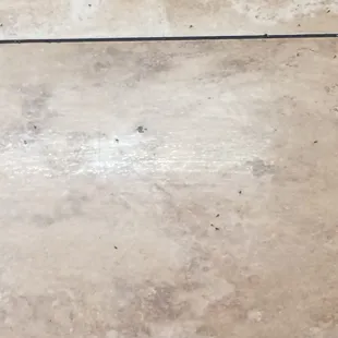 Bugs all over the floor