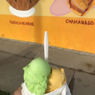 Nieve de Vainilla &amp; Nieve de Limón.  Vanilla Ice Cream &amp; Lemon Ice Cream.