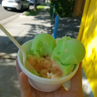 Nieve de limon &amp; melon