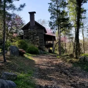 a cabin in the woods