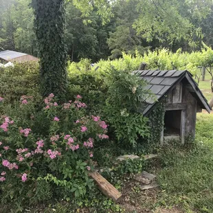 Breathtaking vineyards