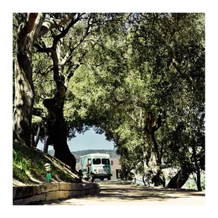 Beverage catering and Margarita truck www.rastarita.com