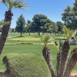 View from patio