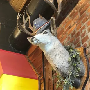 Party deer