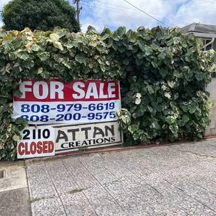 Are they closed for business?