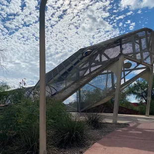 About to enter the snake's mouth