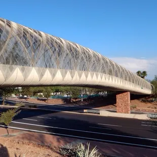 The body of the snake